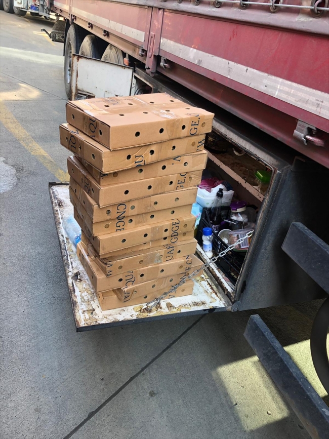 Sınır kapısında 2 bin 500 su kaplumbağası yakalandı